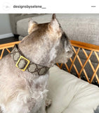 Authentic Repurposed Dog Collars MADE TO ORDER